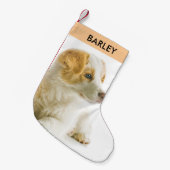 ペットパーソナライズされたドッグフォトフェスティバルホリデーカワイイ スモールクリスマスストッキング (正面 (吊り時))
