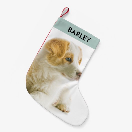 ペットパーソナライズされたドッグフォトフェスティバルホリデーカワイイ スモールクリスマスストッキング (正面 (吊り時))
