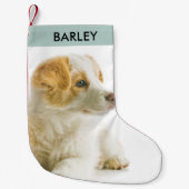 ペットパーソナライズされたドッグフォトフェスティバルホリデーカワイイ スモールクリスマスストッキング (正面)