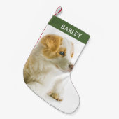 ペットパーソナライズされたドッグフォトフェスティバルホリデーカワイイ スモールクリスマスストッキング (正面 (吊り時))
