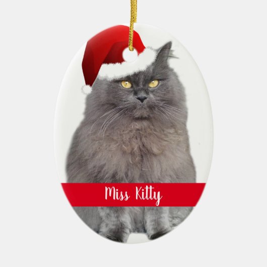 ペットパーソナライズされたネコ犬のクリスマス セラミックオーナメント (正面)