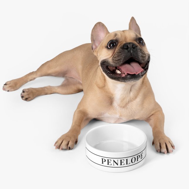 ペットパーソナライズされたネームモダンカスタム ボウル (Cute Personalized Pet Dog Bowl)