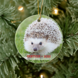 ペットパーソナライズされたハリネズミ写真クリスマスツリー セラミックオーナメント