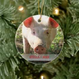 ペットパーソナライズされたピグの写真と名前クリスマスツリー セラミックオーナメント