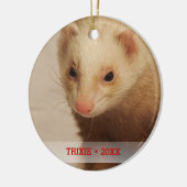 ペットパーソナライズされたフェレット写真名クリスマスツリー セラミックオーナメント (左)