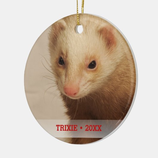 ペットパーソナライズされたフェレット写真名クリスマスツリー セラミックオーナメント (左)