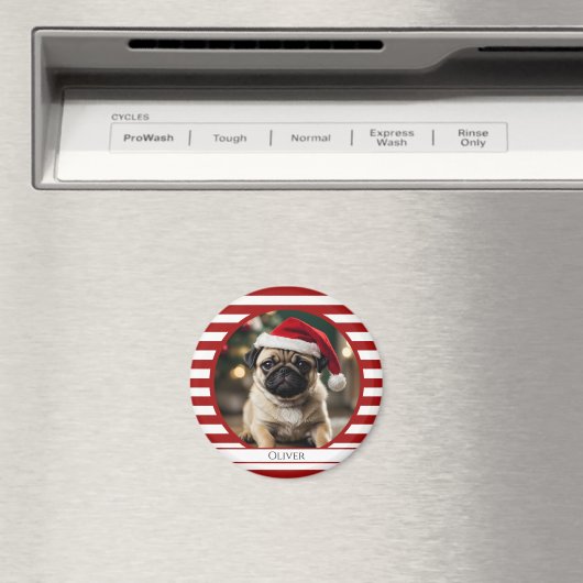 ペットパーソナライズされたフォトキャンディーケーンレッドストライプ マグネット (インサイチュ (食洗機))