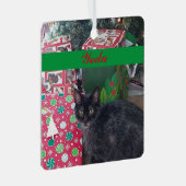 ペットパーソナライズされたフォトグリーンレッドシンプル メタルオーナメント (正面右)