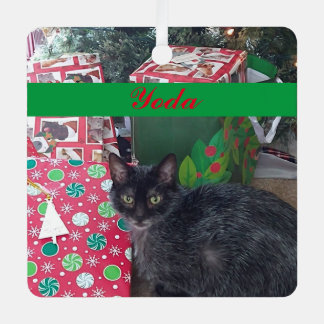 ペットパーソナライズされたフォトグリーンレッドシンプル メタルオーナメント