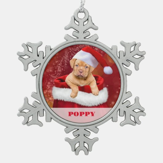 ペットパーソナライズされたフォトスノーフレーク額縁オーナメント スノーフレークピューターオーナメント (正面)
