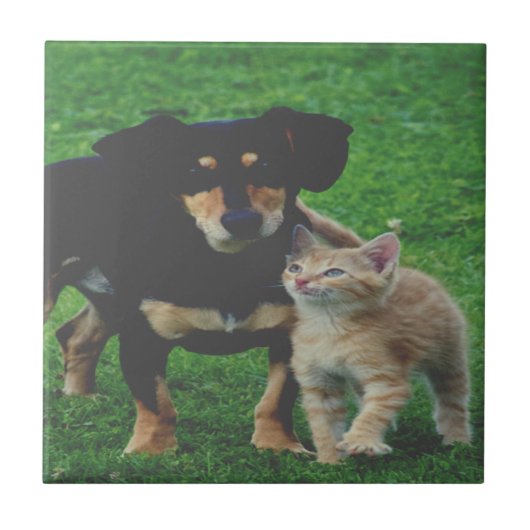 ペットパーソナライズされたフォトセラミックタイル タイル (正面)