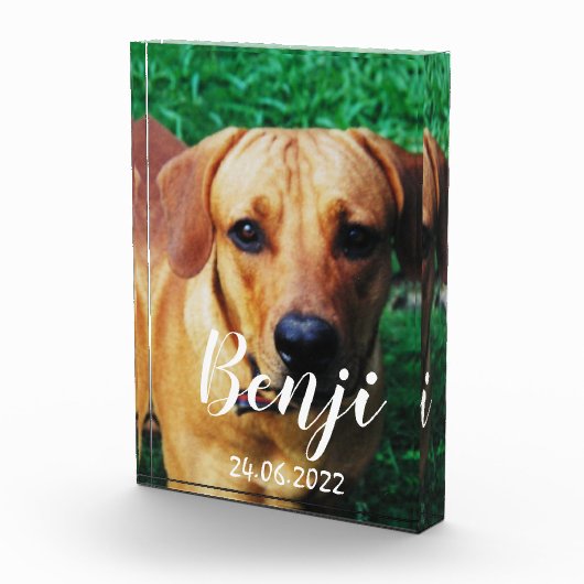 ペットパーソナライズされたメモリアルアクリル写真ブロック フォトブロック (右)