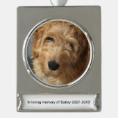 ペットパーソナライズされたメモリカスタムーの写真の名前と文字 シルバープレートバナーオーナメント (正面)