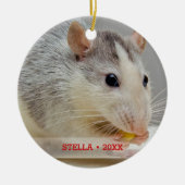 ペットパーソナライズされたラットフォト&名前クリスマスツリー セラミックオーナメント (正面)