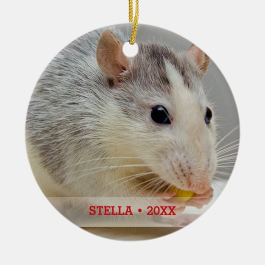 ペットパーソナライズされたラットフォト&名前クリスマスツリー セラミックオーナメント (正面)