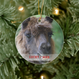 ペットパーソナライズされたラマの写真と名前クリスマスツリー セラミックオーナメント
