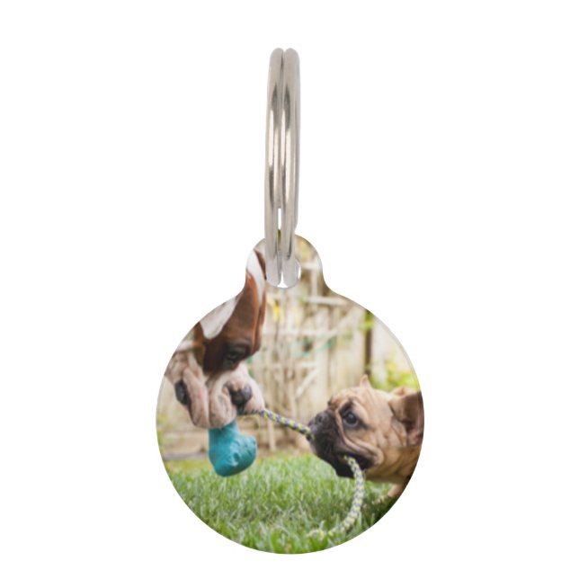 ペットパーソナライズされた写真写真かわいい ペット　ネームタグ (正面)