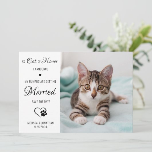 ペットパーソナライズされた写真猫の結婚猫 セーブザデート (スタンド正面)