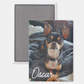 ペットパーソナライズされた写真 マグネット (正面/裏面)