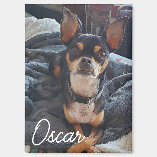 ペットパーソナライズされた写真 マグネット (正面)