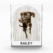 ペットパーソナライズされた名のモダンアーチ フォトブロック (正面)