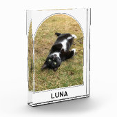 ペットパーソナライズされた名のモダンアーチ フォトブロック (左)