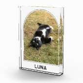 ペットパーソナライズされた名のモダンアーチ フォトブロック (右)