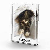 ペットパーソナライズされた名のモダンアーチ フォトブロック (右)