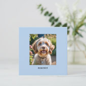 ペットパーソナライズされた犬の猫写真名挨拶カード (スタンド正面)