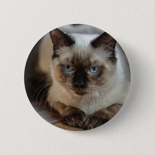 ペットパーソナライズされた猫画像の写真の追加 缶バッジ (正面)