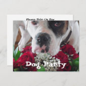 ペットパーティの招待状カワイトボクサーとバラブーケ 招待状 (正面/裏面)
