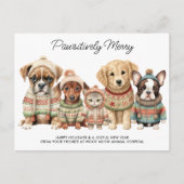 ペットビジネスクリスマスかわいい犬ねこペット シーズンポストカード (正面)