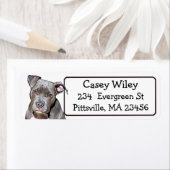 ペットピットブルドッグ住所 シール (インサイチュ)