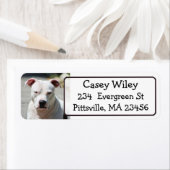 ペットピットブルドッグ住所 シール (インサイチュ)