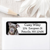 ペットピットブルドッグ住所 シール (インサイチュ)