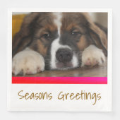 ペットフォトイメージ (正面)