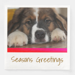 ペットフォトイメージ