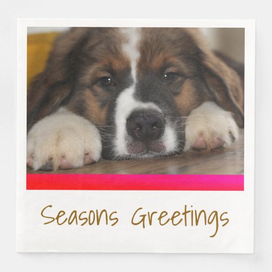 ペットフォトイメージ (正面)