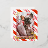 ペットフォトキャンディーケーンストライプのハッピーパワリー金ゴールド 箔シーズンポストカード (正面/裏面)