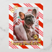 ペットフォトキャンディーケーンストライプのハッピーパワリー金ゴールド 箔シーズンポストカード (正面)