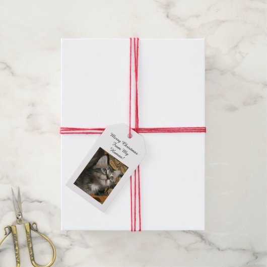 ペットフォトギフトラベル ギフトタグ (より糸付き)