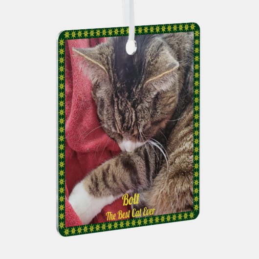 ペットフォトグリーン金ゴールド縁ど名ことわざオーナメント メタルオーナメント (正面右)