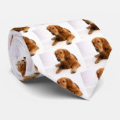 ペットフォトゴールデンレトリエバーネクタイ ネクタイ (ロール)