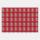 ペットフォトサンタハット&スノーフレーク赤グリーン海軍 ラッピングペーパーシート (正面3)