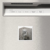 ペットフォトタイムレスキープソークドッグママパパ マグネット (インサイチュ (食洗機))