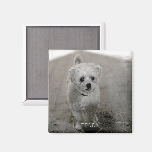 ペットフォトタイムレスキープソークドッグママパパ マグネット (正面/裏面)