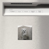 ペットフォトタイムレスキープソークドッグママパパ マグネット (インサイチュ (食洗機))