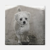 ペットフォトタイムレスキープソークドッグママパパ マグネット (正面)