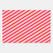 ペットフォトティール(緑がかった色)クリスマスラッピング紙シート ラッピングペーパーシート (正面2)