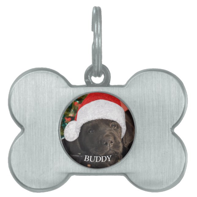 ペットフォトパーソナライズされたドッグ愛好家 ペットネームタグ (正面)